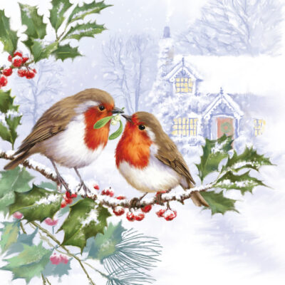 Christmas Robin Duo